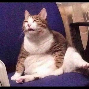 Meet your Posher, Adam